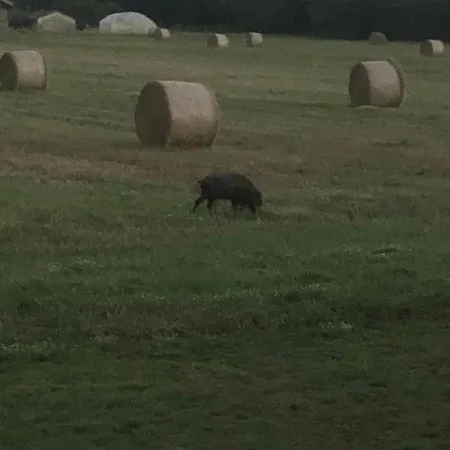 La Maison Des Ateliers Frühstückspension