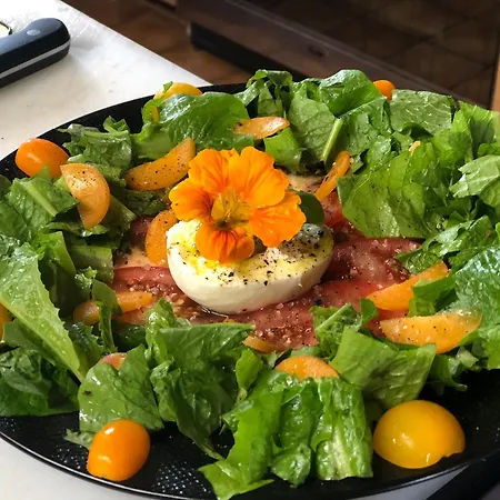 Bed & Breakfast La Maison Des Ateliers